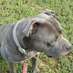 Meet your Posher, Travis